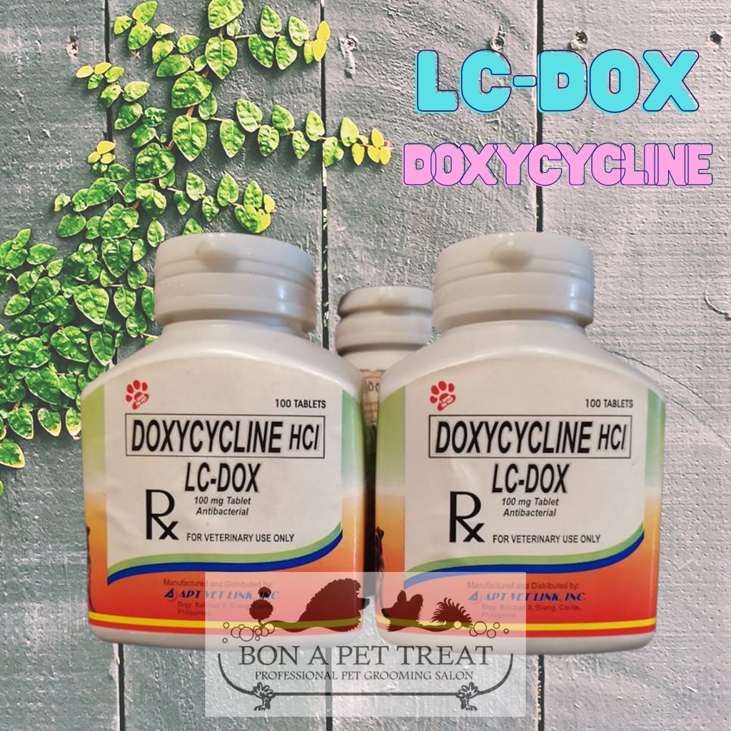 What Is Doxycycline 100mg Used For In Dogs