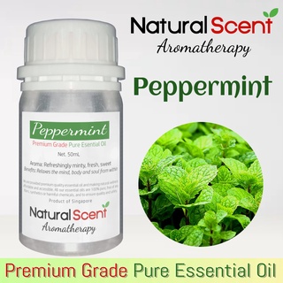 Peppermint Scent of Natural Scent Aromatherapy Premium Quality 100% Pure Essential Oil (50ml) Therap