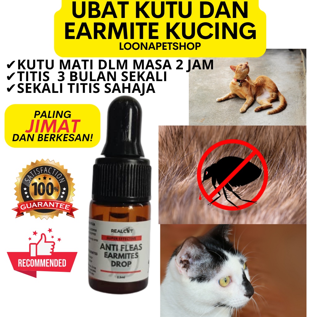 The Most Effective Earmited Drop Cat Lice Medicine For Cat Fleas 2.5ml