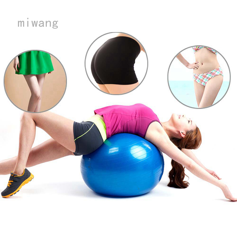 fitball exercise ball
