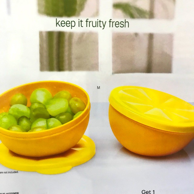 CITRUS KEEPER FOOD STORAGE KEEPER TUPPERWARE Shopee Philippines