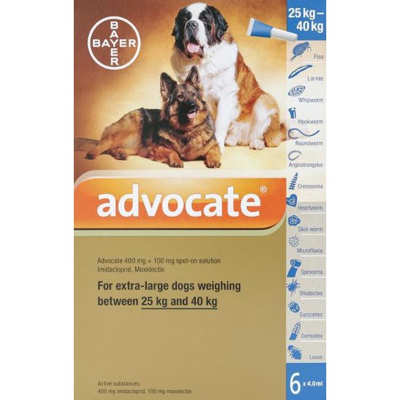 advocate for cats ebay