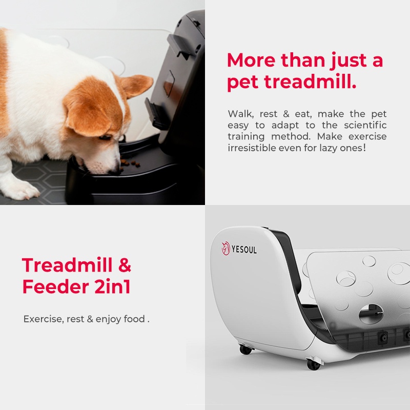 Xiaomi YESOUL Q1 Pet Dog Cat Kitten Puppy Indoor Treadmill w/ a Smart Feeder (dog and cat toys） #5