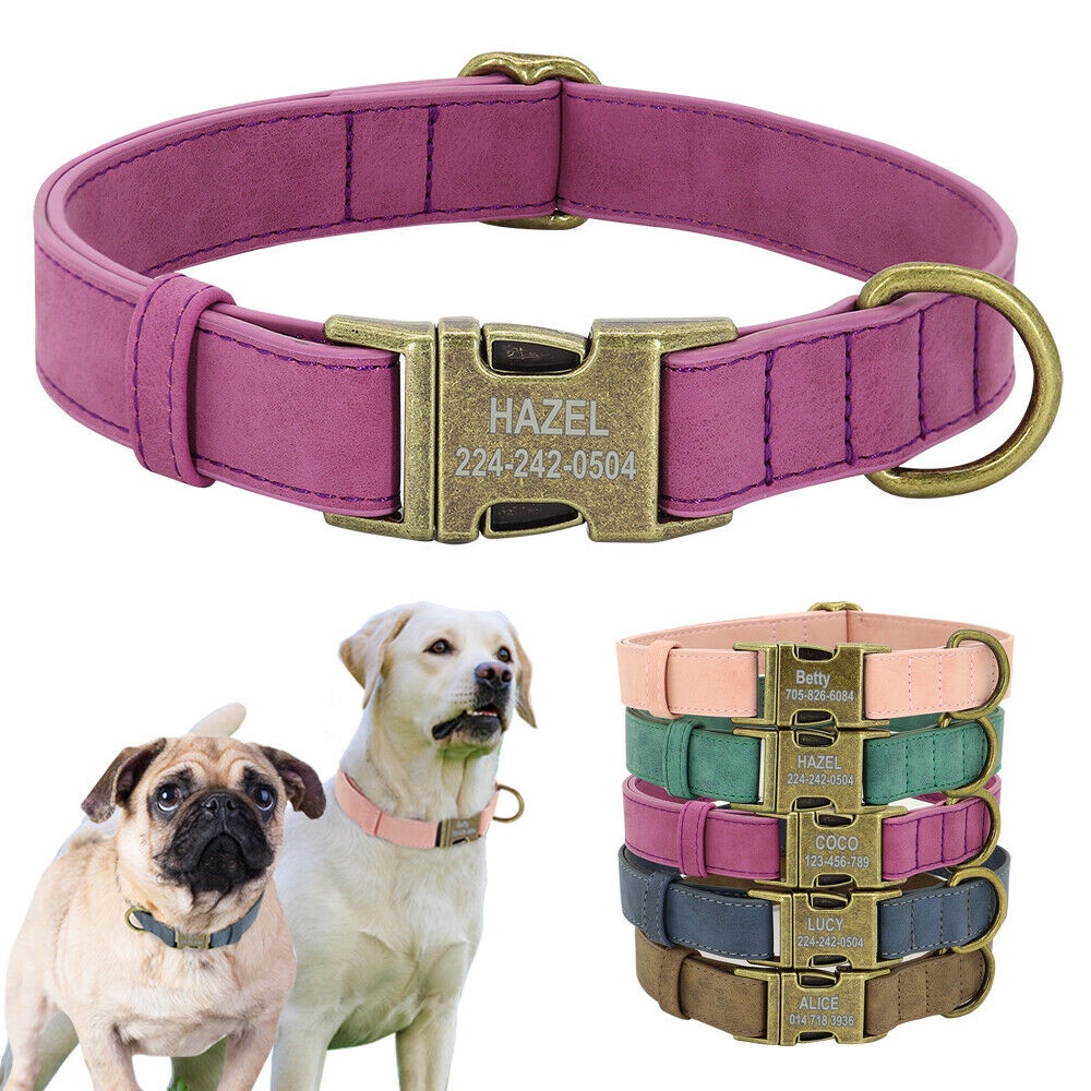 Personalized Leather Dog Collar Brass Buckle D Ring Pet Laser Engraved 5 Colors
