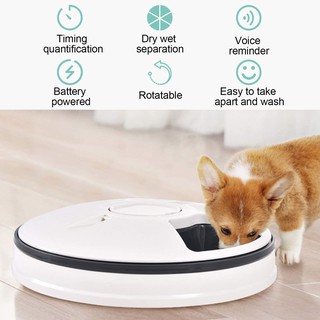 Automatic Pet Feeders Food Bowl LCD Screen Timer Dog And Cat Dog Food Dispenser