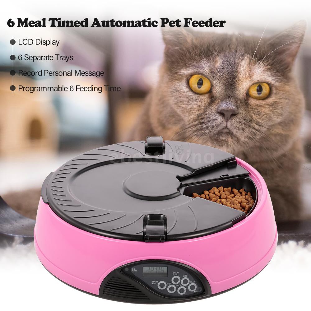 6 meal pet feeder