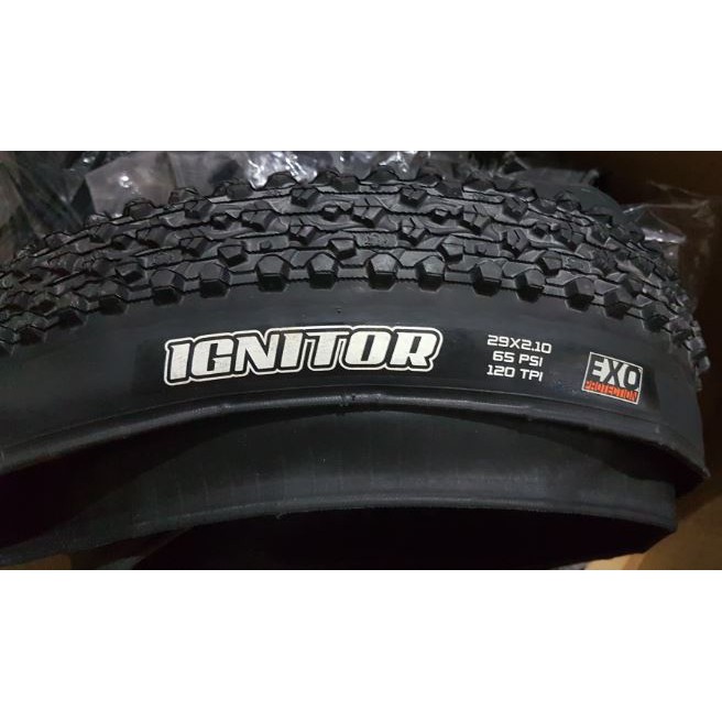 maxxis ignitor 29 exo tr