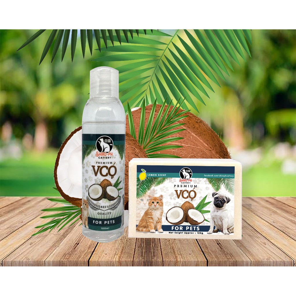 can coconut oil treat mange in dogs