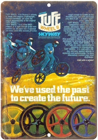 skyway mag wheels