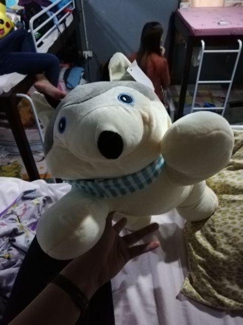 Laying dog stuff toy cute 40cm toys PILLOW | Shopee Philippines