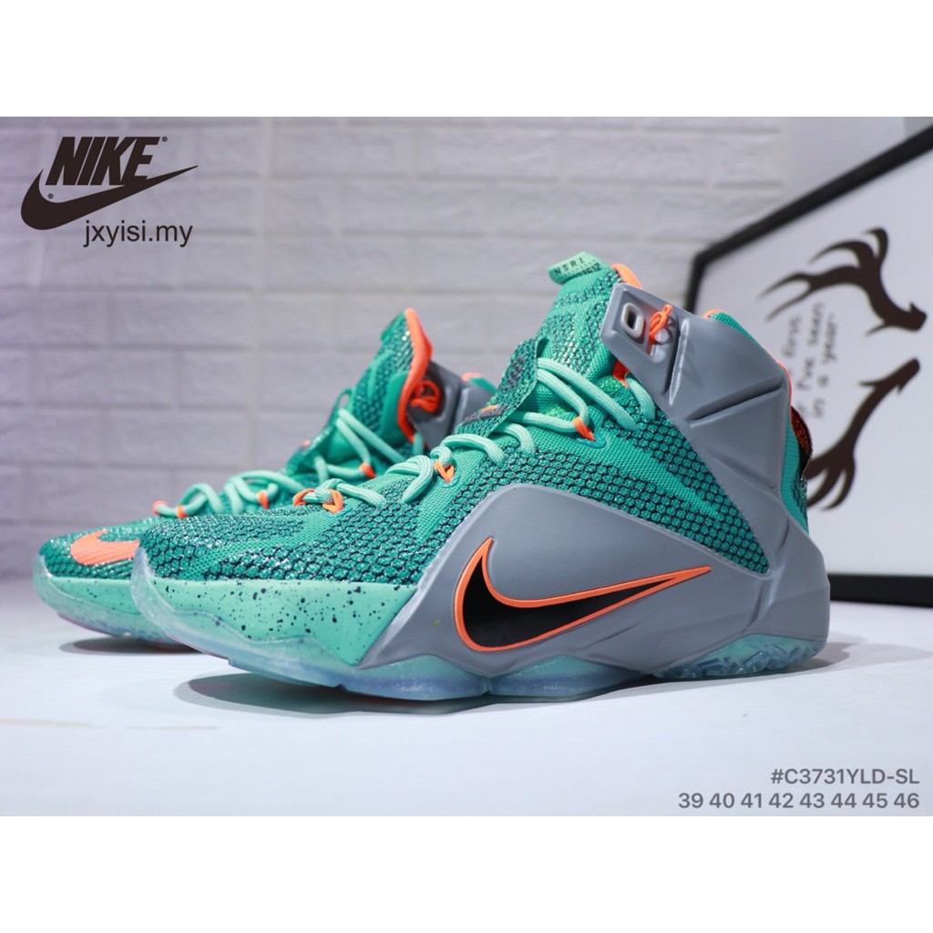 lebron james 12