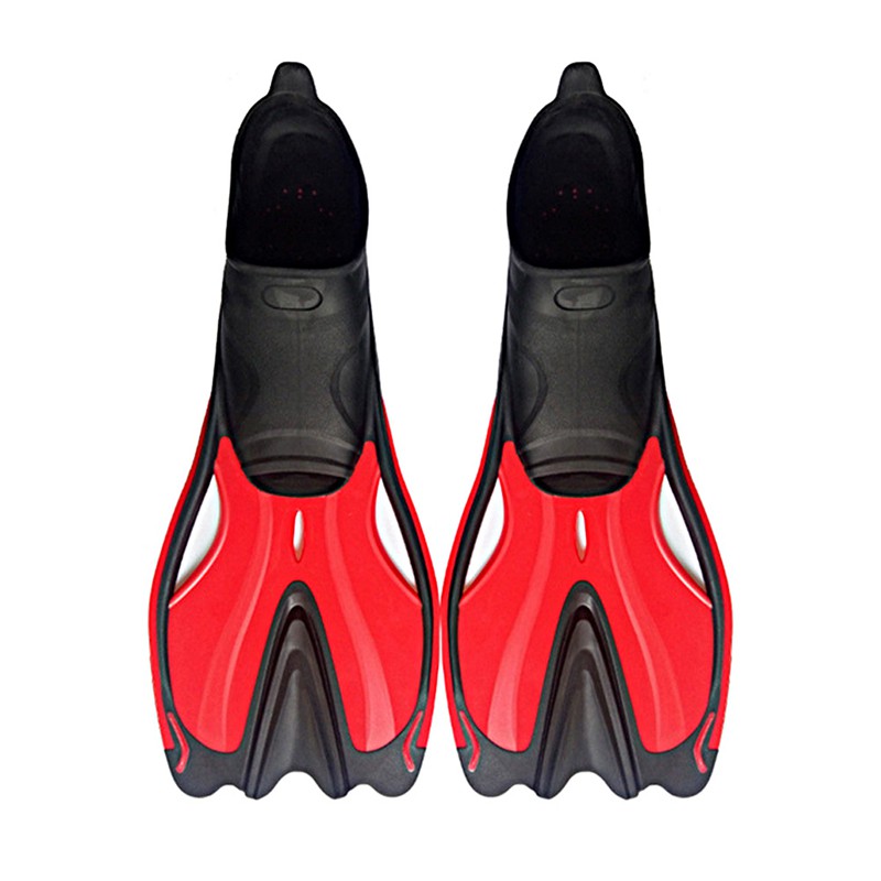 snorkeling shoes with fins