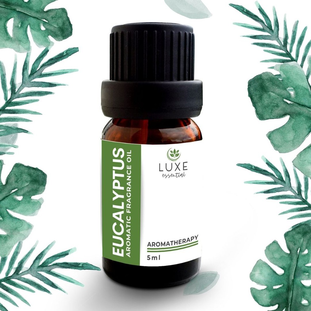 eucalyptus-luxe-essential-fragrance-oil-scent-air-humidifier-water