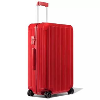 large luggage case