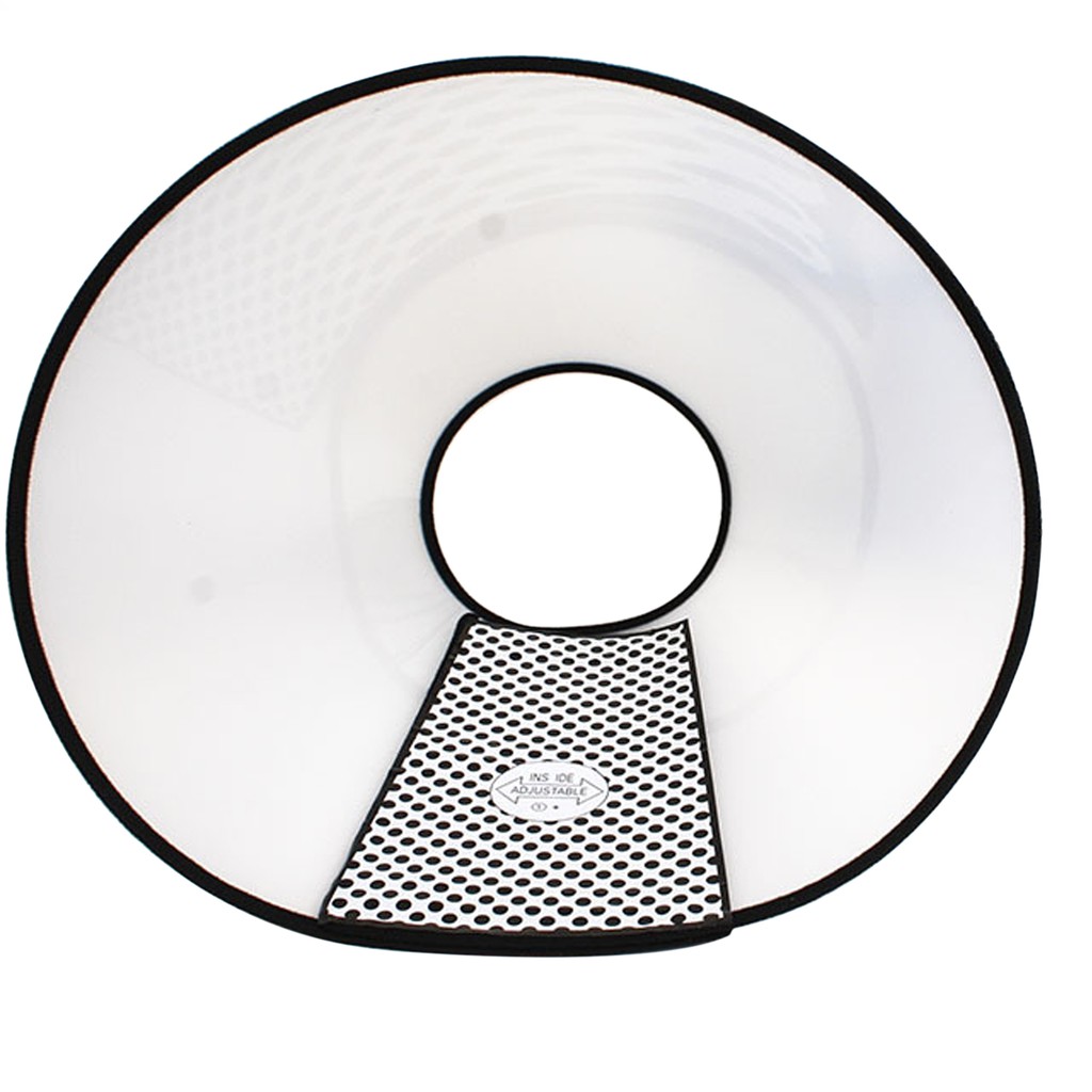 remedy recovery collars