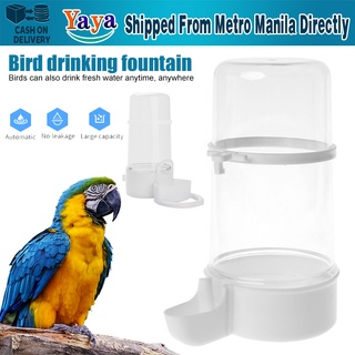 【Fast Delivery】Pet Bird Automatic Drinker Feeder Bird Feeder Bird Cage Parrot Feeding Tool