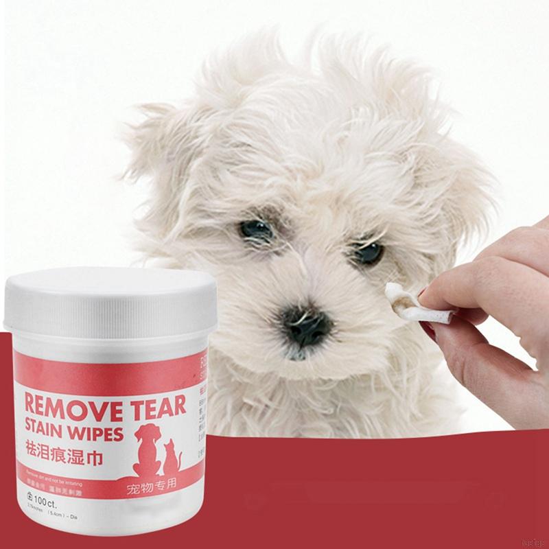 dog cleaning wipes