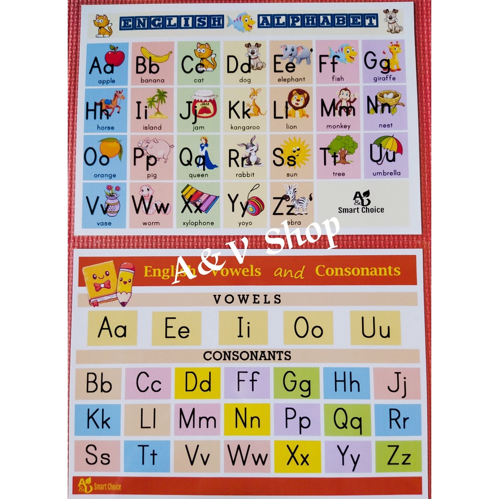 Laminated Alphabet Chart Vowels And Consonants Alphabet Tracing Porn