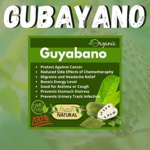 100 Pure Guyabano Soursop Leaves Powder 100g Shopee Philippines