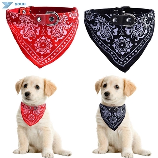 cat and dog accessories