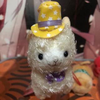 shiba inu preloved