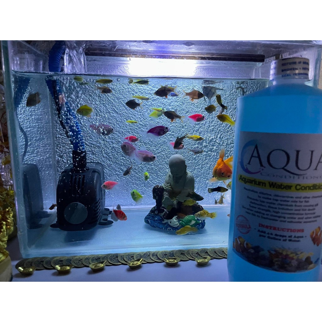 Aqua Plus + Aquarium Water Conditioner (1 Liter Aquarium Water ...