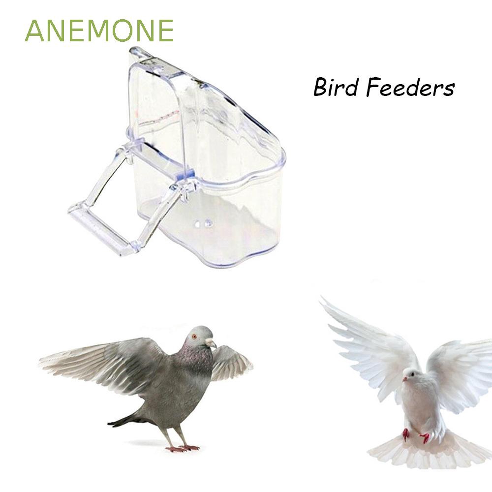 canary bird supplies