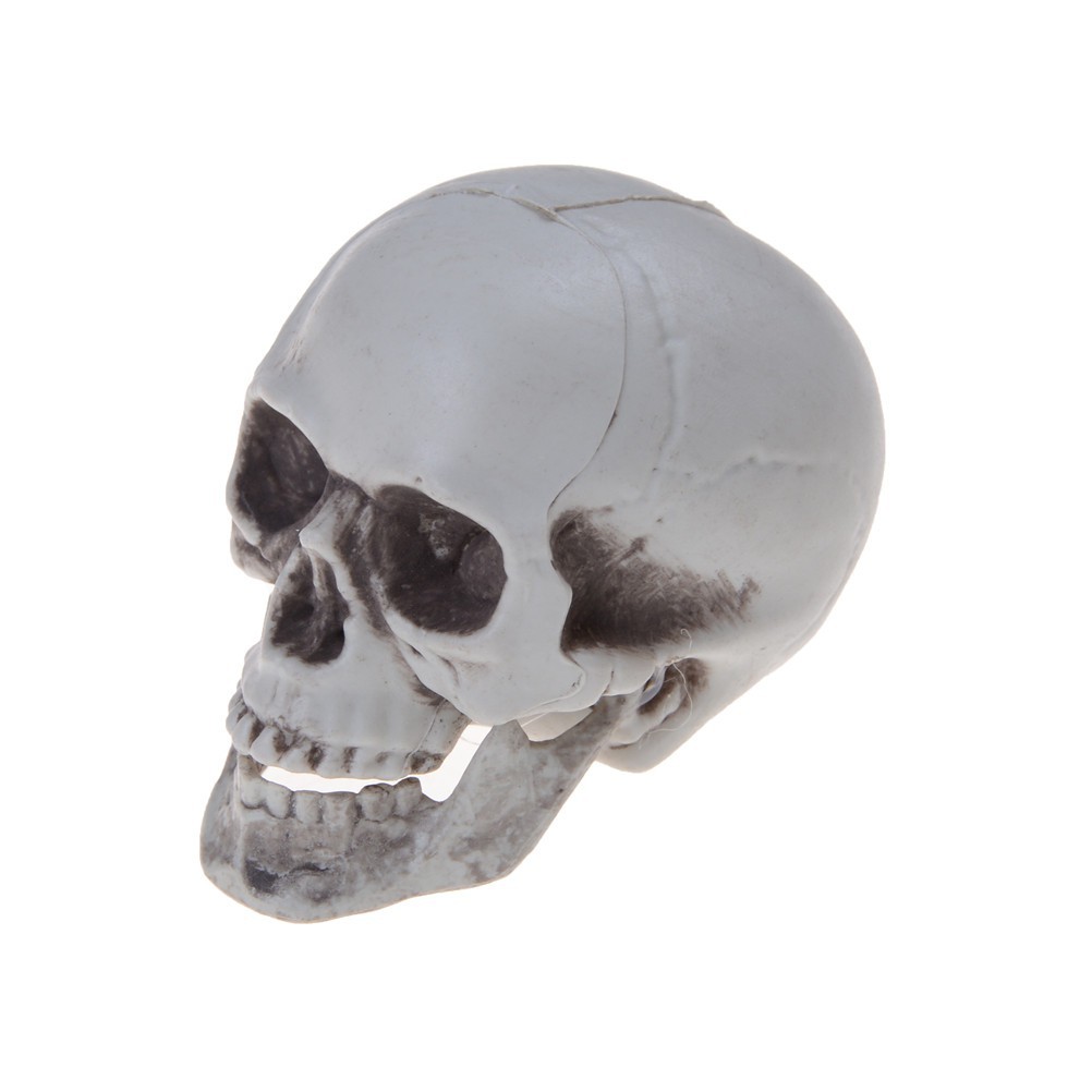Human Skull Decor Prop Skeleton Plastic Head Halloween CoffeeBar Ornaments Hot 