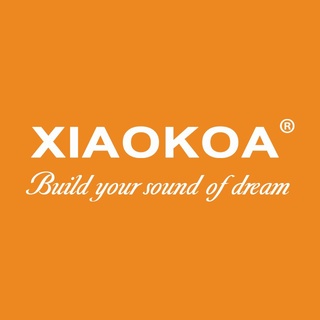 XIAOKOA Dual UHF Headset Wireless Microphone 1 Receiver 2 Headset 