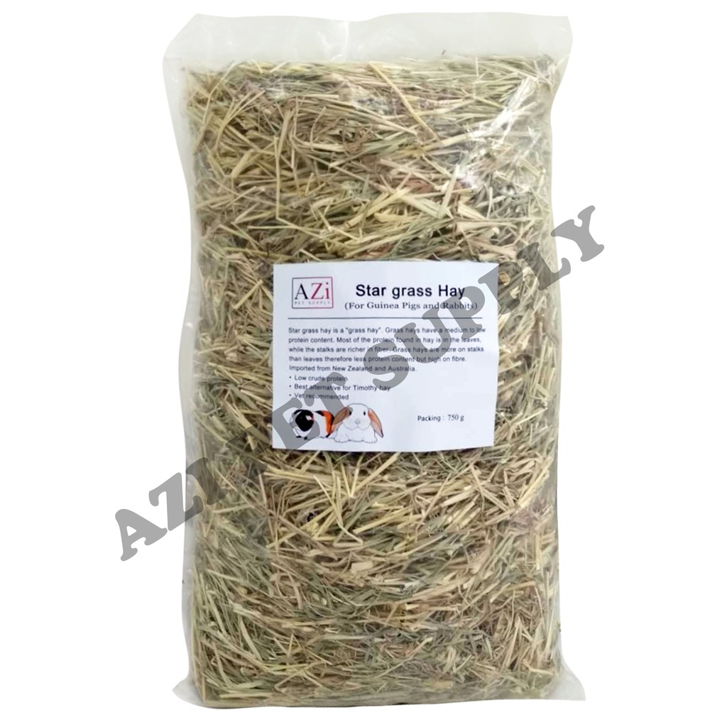 AZi Star Grass Hay 750g for Guinea Pig, Rabbit and Other Rodents Shopee Philippines