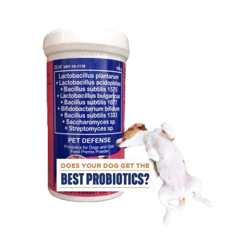 PET DEFENSEPROBIOTIC FOR DOGS AND CATS FEED 100g Shopee Philippines