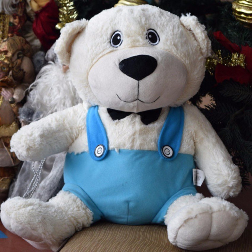 big eye teddy