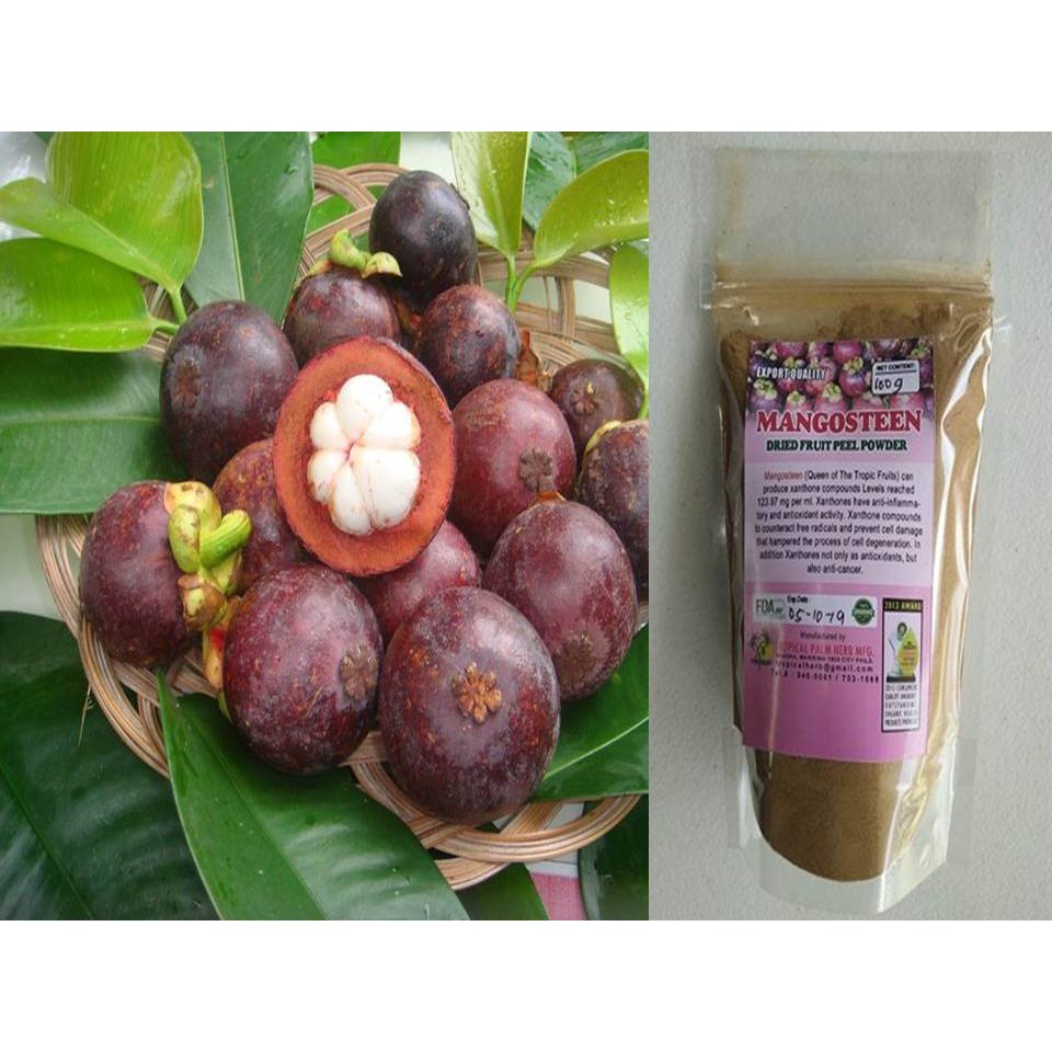 MANGOSTEEN powder... Shopee Philippines