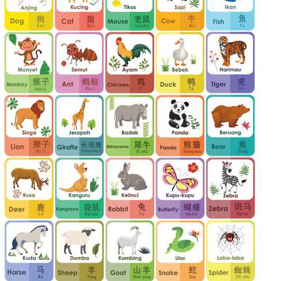 Stock Ready  Flashcard Animal Name Recognition 3 Languages / Children 's  Smart Card / English Learning Card | Shopee Philippines
