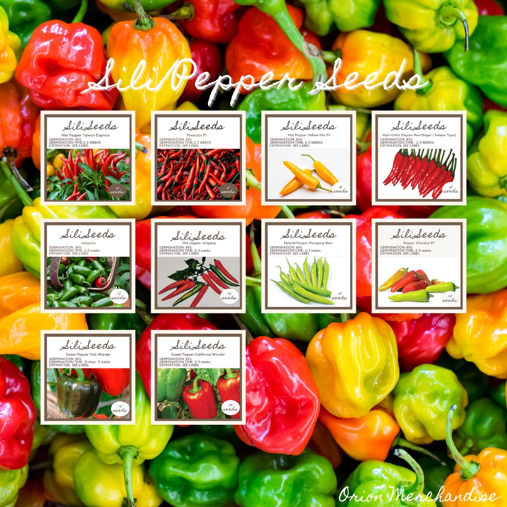 Pepper Sili Seeds Plant Seeds Per Pack Shopee Philippines