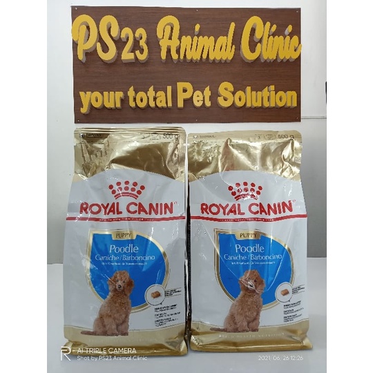 Royal Canin Poodle Puppy Dry Dog Food 500g Shopee Philippines