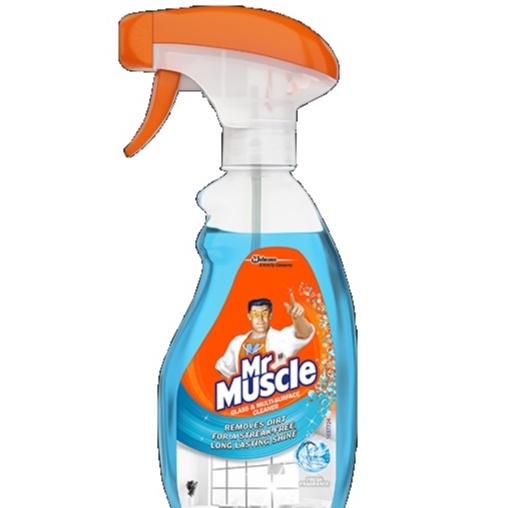 Mr Muscle Glass Cleaner Fresh Fragrance 500ml Shopee Philippines