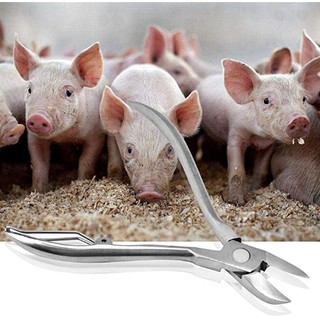 Stainless Steel Pig Piglets Tooth Teeth Nipper Clipper  for Farm Livestock Avoiding Fighting Biting