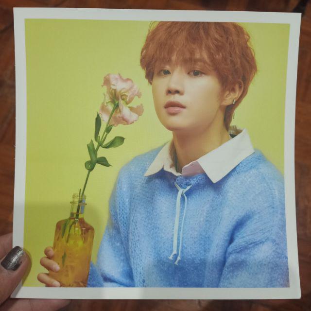 Latest 08 30 The Boyz Bloom Bloom Album Postcard Shopee Philippines