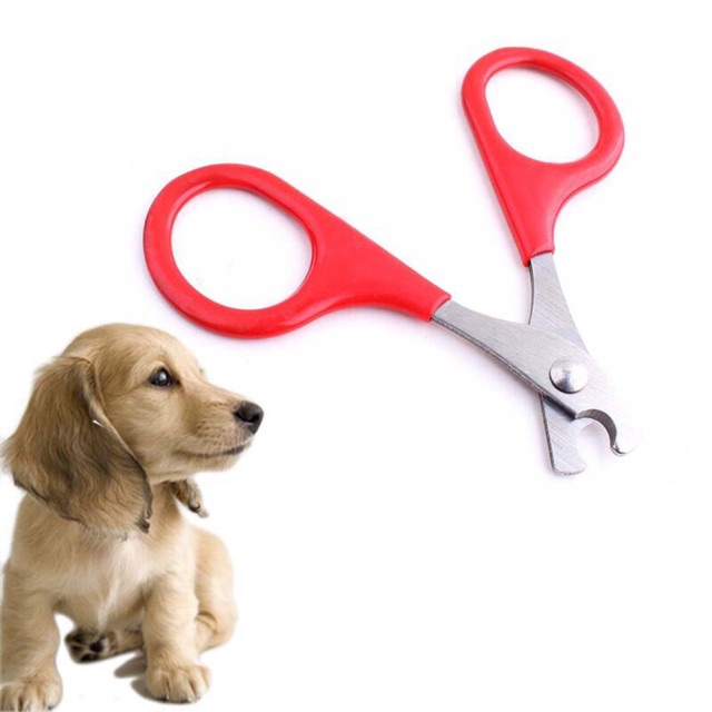 nail clippers for dogs near me