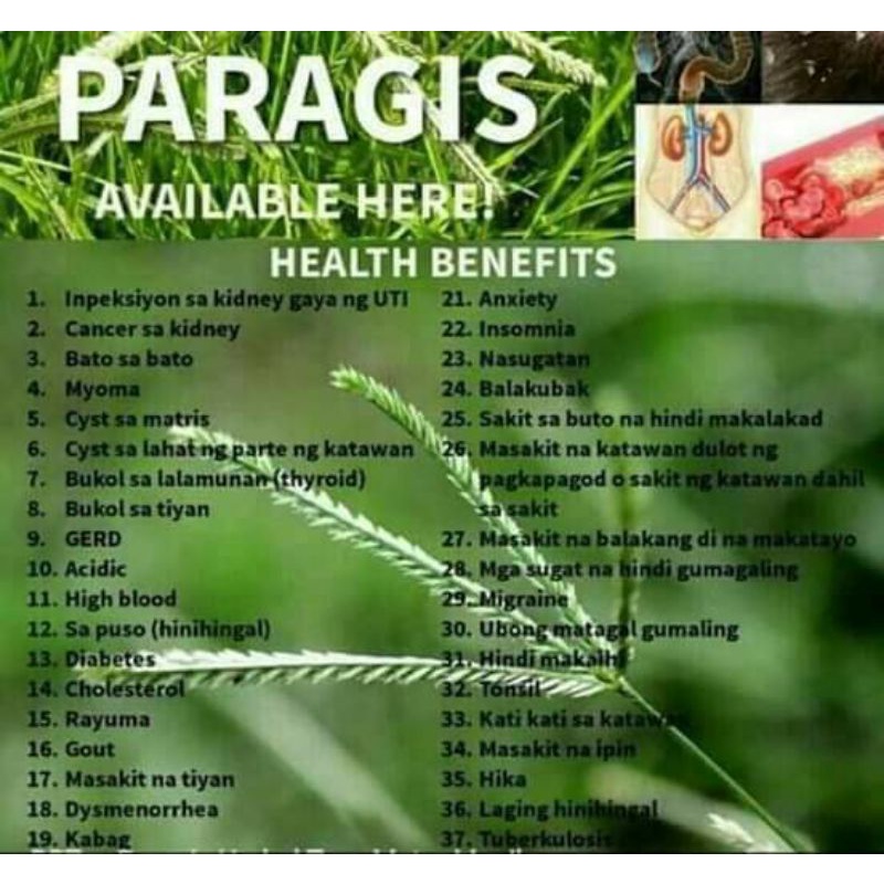 BLESSED PURE PARAGIS 100 CAPSULES for Pcos Fertility Cyst Irregular Mens