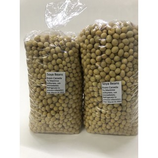 Soya Beans from Canada 1kg Milky