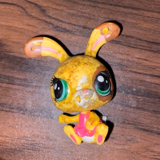 lps bunny