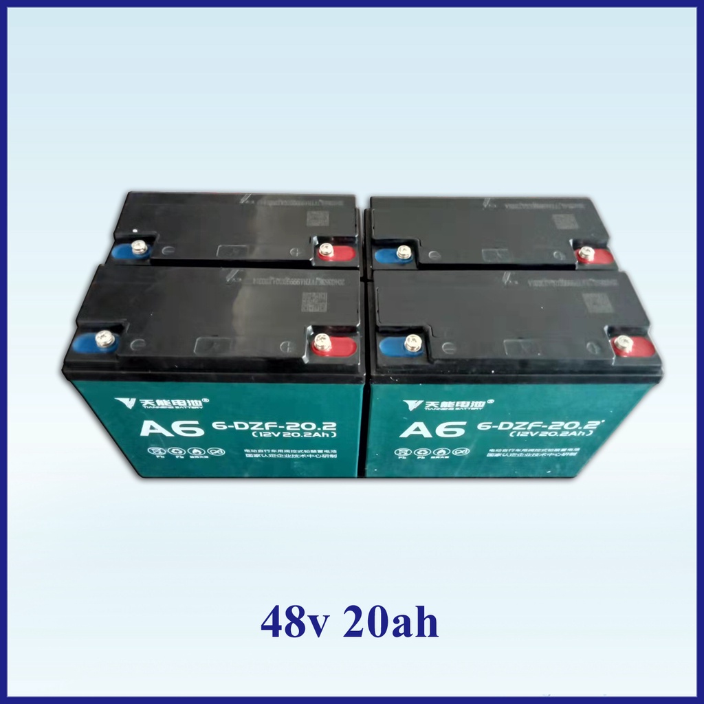 eco ebike battery