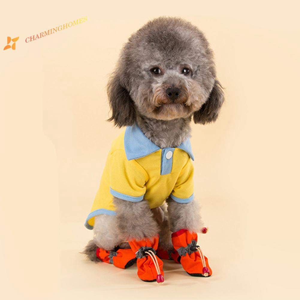 dog boots