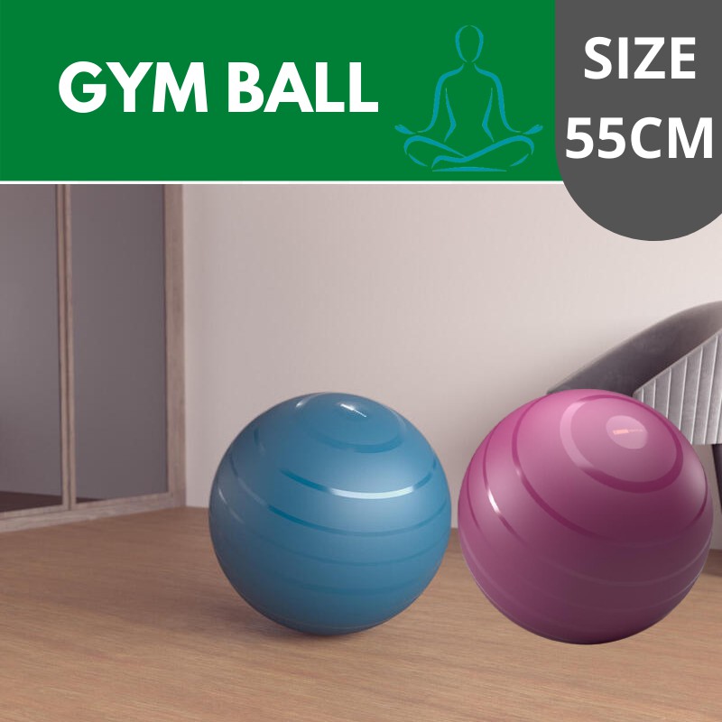 Decathlon Gym Ball 55cm Shopee Philippines
