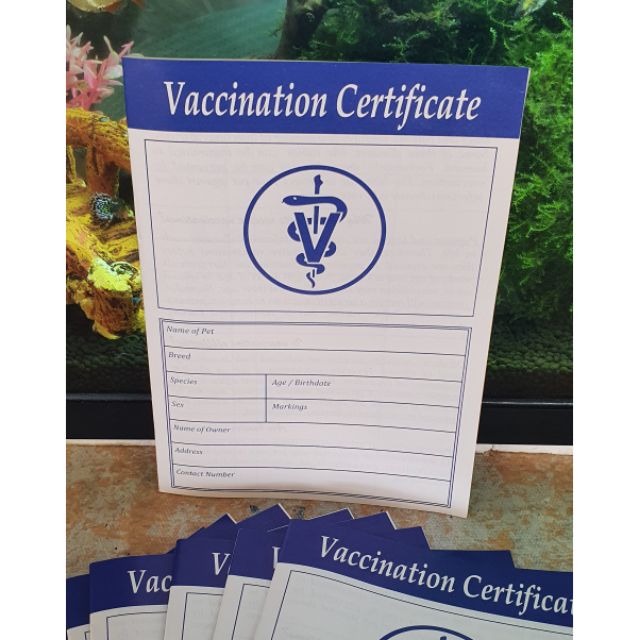 Pet Vaccination Certificate | Shopee Philippines