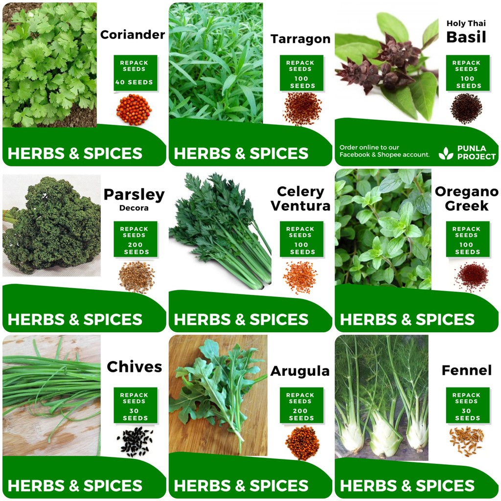 List 104+ Images List Of Herbs And Spices With Pictures Sharp 10/2023