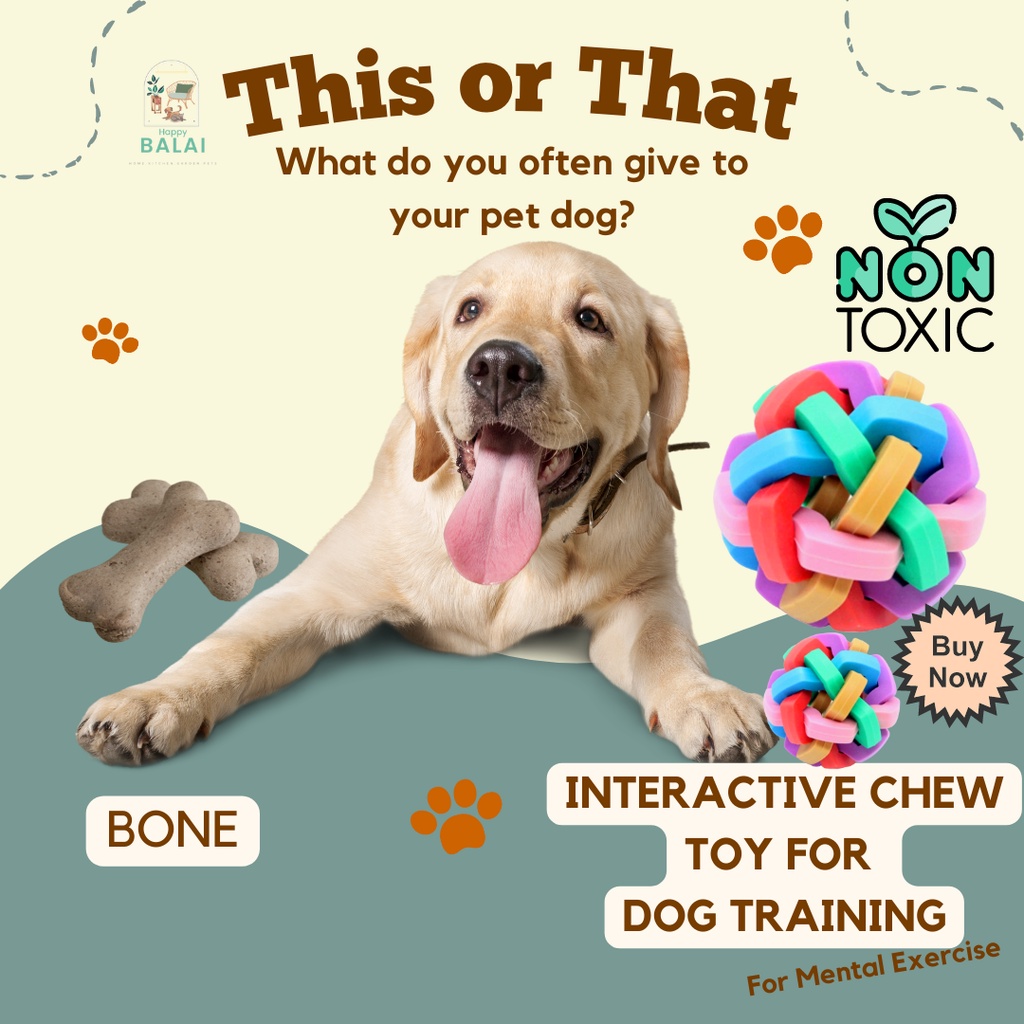 Is Rubber Toxic To Dogs