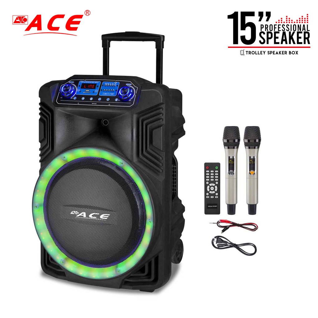 professional speaker system